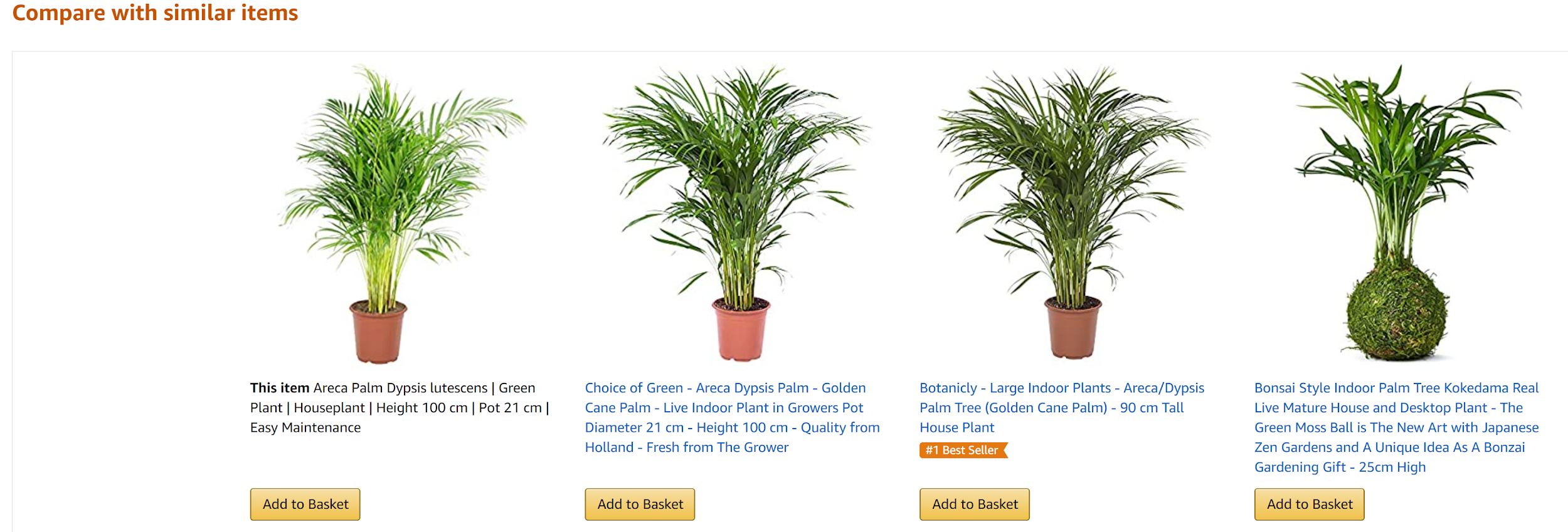 Amazon plants